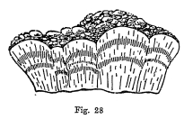 radiating fibrous